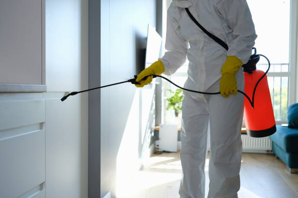 Best White Mold Remediation in Weldon Spring, MO